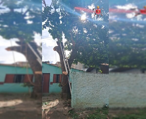 descarga-eletrica-sao-sebastiao