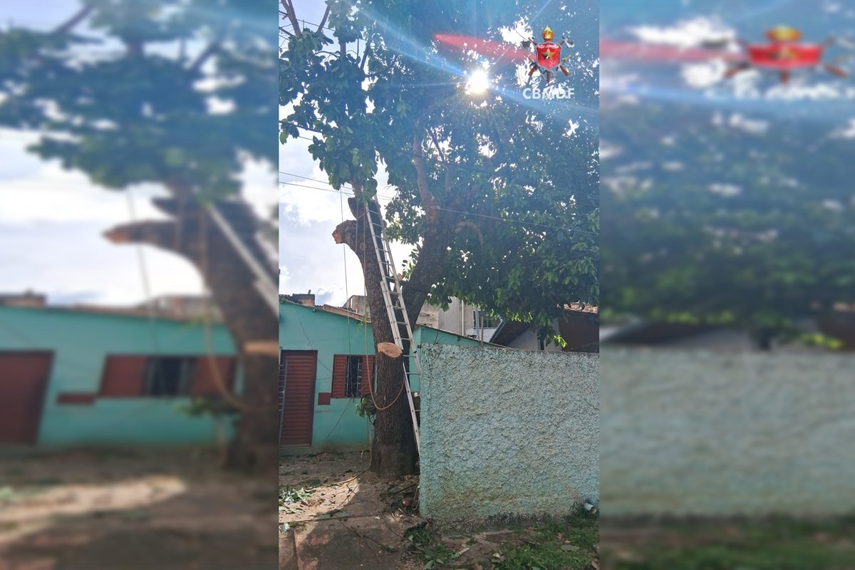 descarga-eletrica-sao-sebastiao