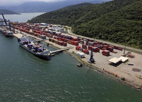 cedro-porto-de-itaguai