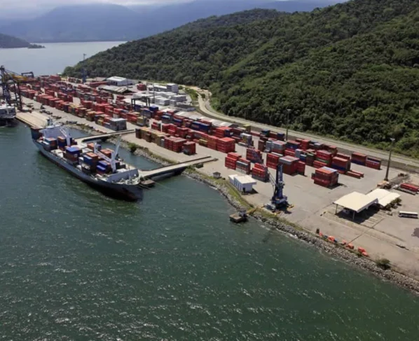 cedro-porto-de-itaguai