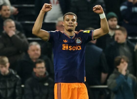 Newcastle vence Tottenham e sobe na tabela da Premier League - destaque galeria