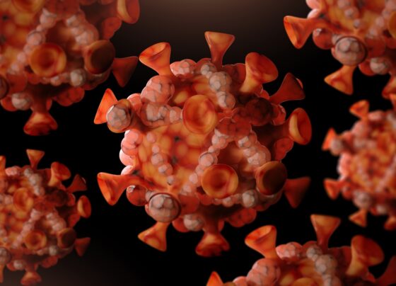 Imagem colorida mostra vírus mpox - Metrópoles