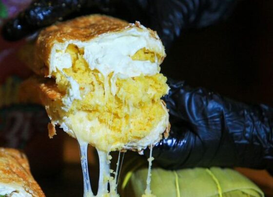 mão de luva segurando pastel de pamonha