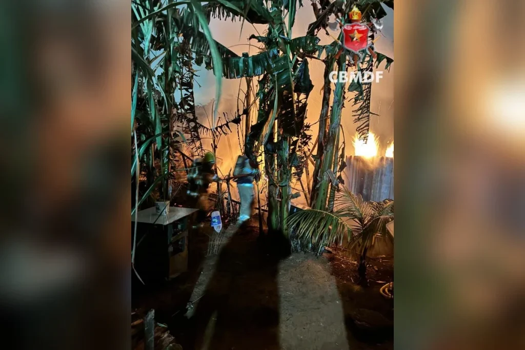 Ícone do WhatsApp