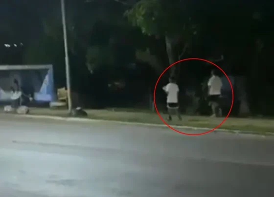 Advogado Jeffrey Chiquini da Costa realizou sustentação pelo denunciado Rodrigo Bezerra de Azevedo por suposta trama golpista pela - Metrópoles 1